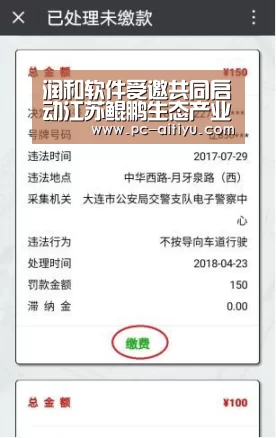润和软件受邀共同启动江苏鲲鹏生态产业园开园仪式_爱体育(图2) 爱体育
